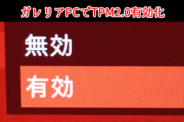 ガレリアTPM2.0_01