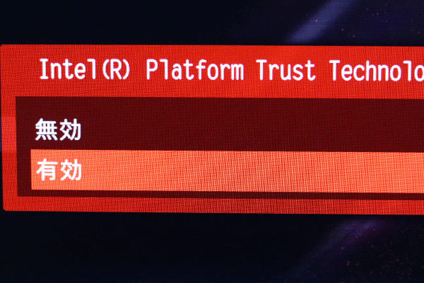 ガレリアTPM2.0_08